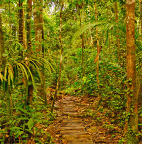 Western Amazon is threatened by oil pollution