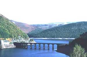 WFF warned that dams are destroying the environment