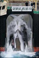 Whale meat 'makes dog food'