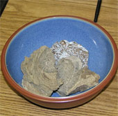 Whale vomit is ... very powerful aphrodisiac
