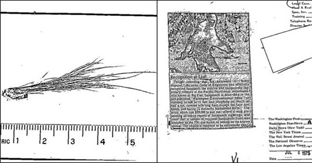 What a surprise from declassifying FBI records about the snowman legend 'Bigfoot'?