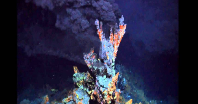 What are the ancestors of all living things?