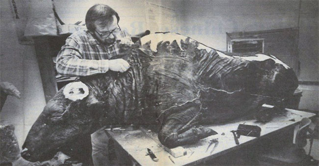 What do archaeologists do when they discover a 36,000-year-old wild cow mummy?