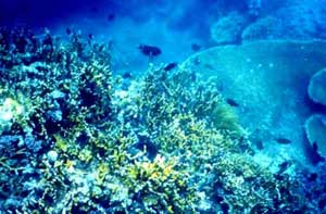 What do you know about the radioactivity of water on earth?