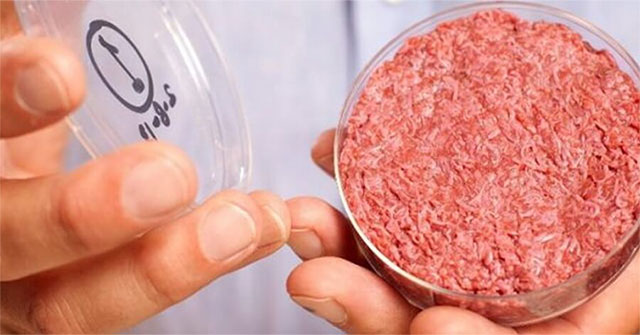 What do you know about 'vegetarian' meat?