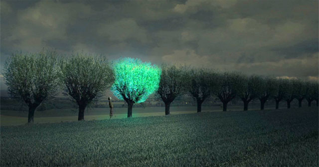 What do you think of trees that glow like streetlights?