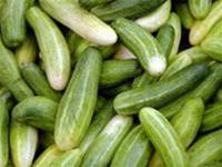 What does Chronic hepatitis patients need to eat?
