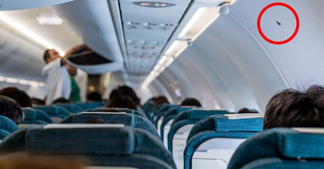 What does the black triangle symbol on the plane mean?