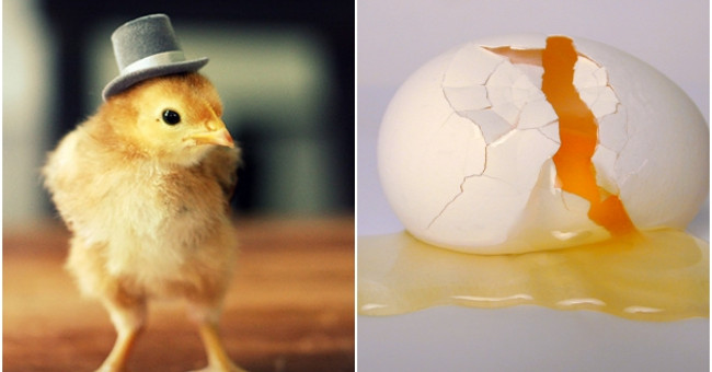 What few people know about the number of chicken eggs we still eat every day