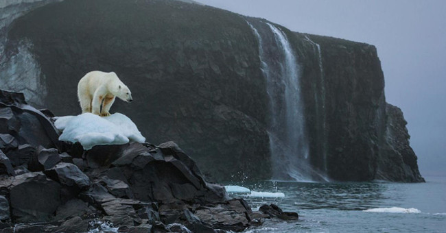 What happens if the Earth continues to heat up?