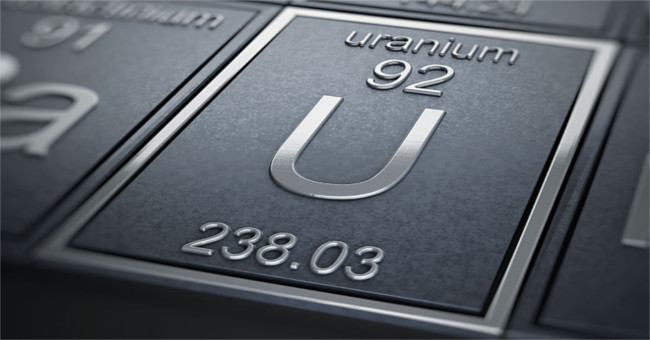 What happens if you eat uranium?