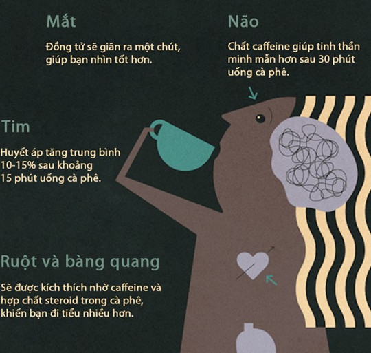 What happens to the body when you drink coffee?