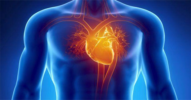 What happens when a heart attack occurs?