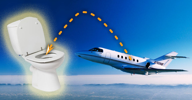 What happens when you press the toilet flush button on the plane?