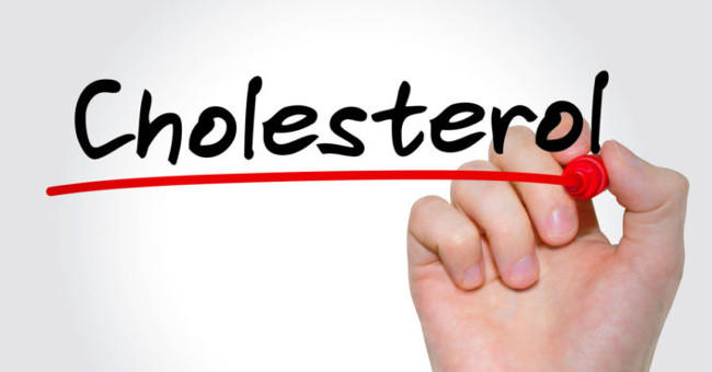 What is cholesterol?