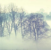 What is fog?  Why is there a fog?