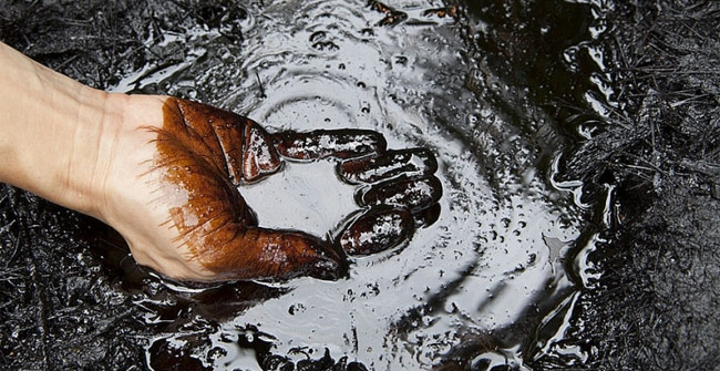 What is petroleum?