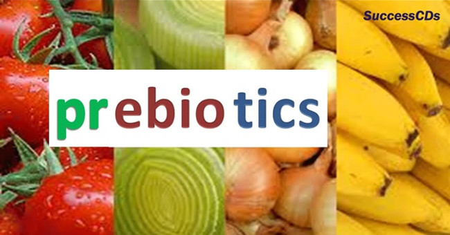 What is prebiotic and how does it work for human health?