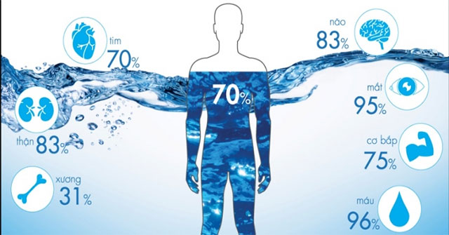 What is the composition of water in the human body?