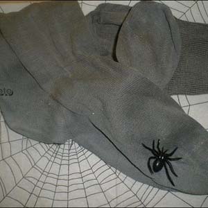 What is the spicy spider?