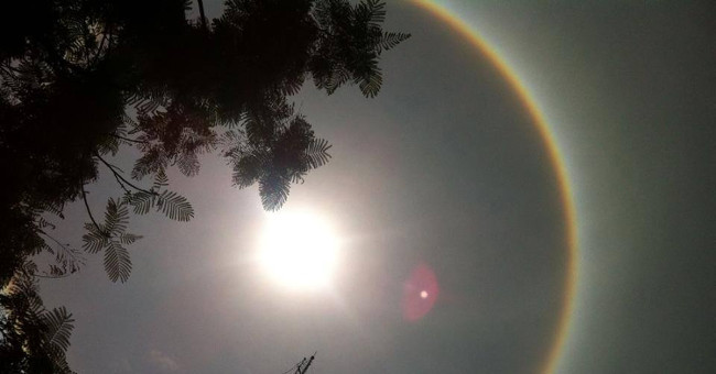 What is the sun halo?