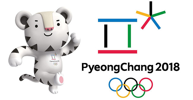 What is the Winter Olympics?
