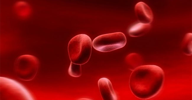 What is white blood disease?
