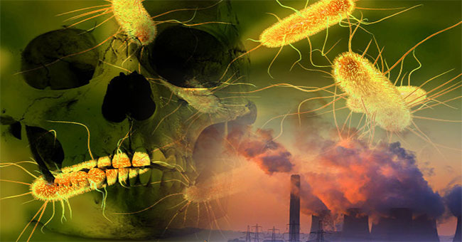 What kind of bacteria can kill hundreds of millions of people coming out from the North Pole?