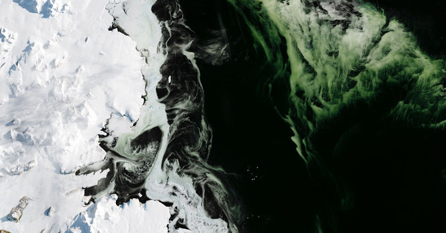 What mystery makes the Antarctic ice sheet green?