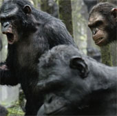 What species is dominating the Earth?