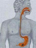 What to do with functional dyspepsia?