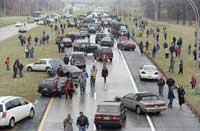 What type of vehicle is the most polluting?