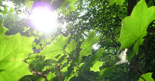 What will happen if you no longer see sunlight?
