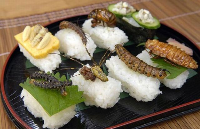 What will humans eat in 20 years?