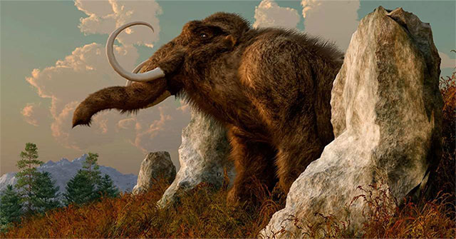 What will the world be like if dinosaurs and mammoths revive?