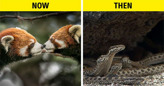 What would happen if the Earth's sea and land swapped?  Hell is full of centipedes waiting for you