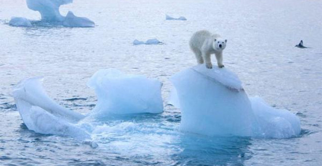 What's going on with the Earth's 'refrigerator'?