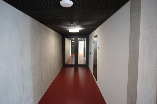 What's inside of IBM's quietest room in the world?