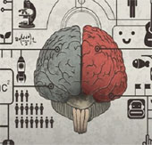 What's the difference between the brains of entrepreneurs?