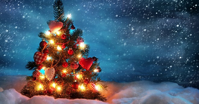 When should lighting Christmas trees?