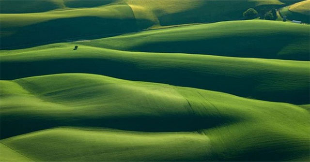 When the farm turns into a mesmerizing art picture from an airplane perspective