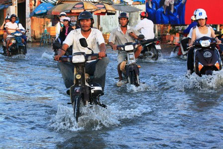 When the tide is high, the people of Saigon reel in the sea of ​​water