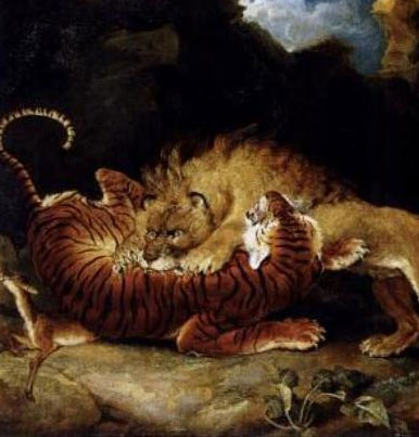 When the tiger 'the lion' war, who wins?