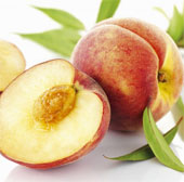 When was the peach tree planted?
