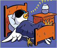 When we sleep, we are like birds