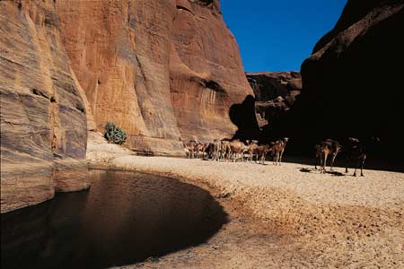 Where has the Sahara Desert been?