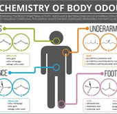 Where is armpit, foot rot, bad breath?