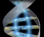 Where is the genetic variation and personal health related?