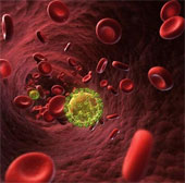 Where is the only person who escapes from the HIV death virus?
