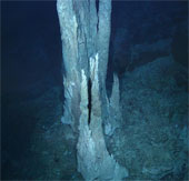 Where life begins on earth